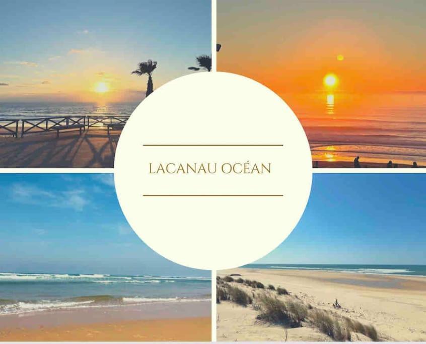 Cosy Studio Avec Vue Sur L'Ocean Lacanau Exteriér fotografie